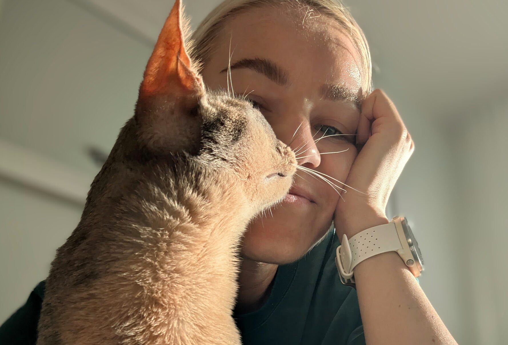 Professional Pet Sitting: Why It’s About Trust and Responsibility